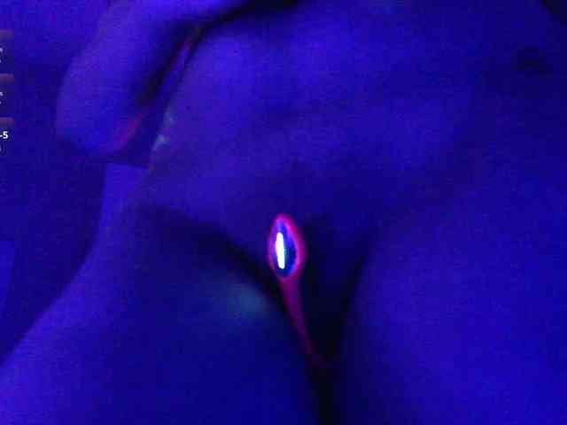 pollymorph webcam