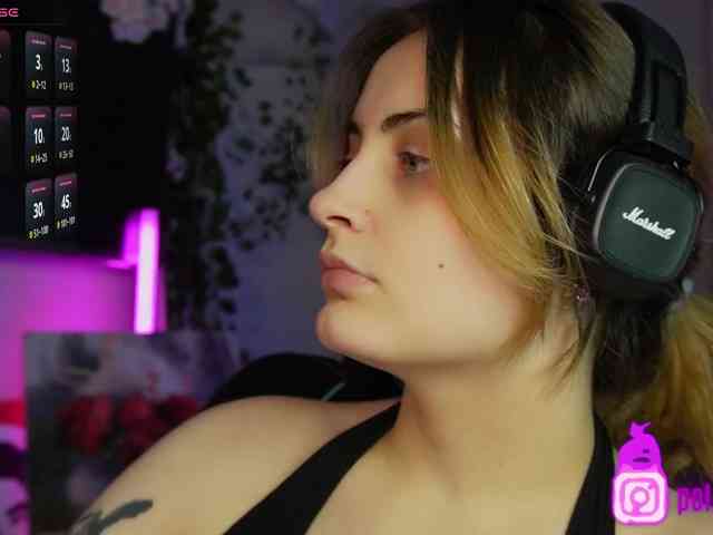 pollymorph webcam