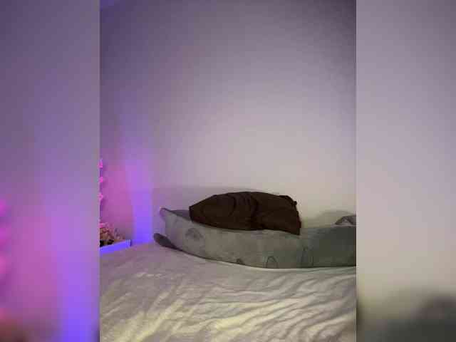 pollymorph webcam