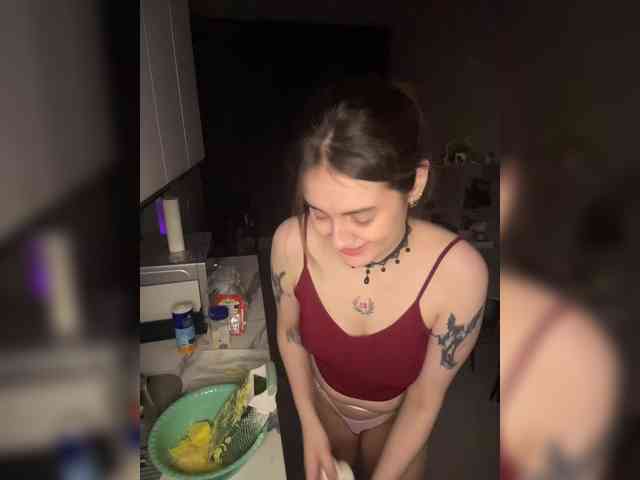 pollymorph webcam