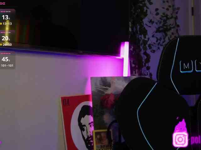 pollymorph webcam