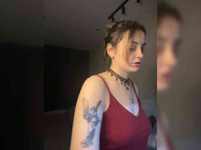 pollymorph webcam