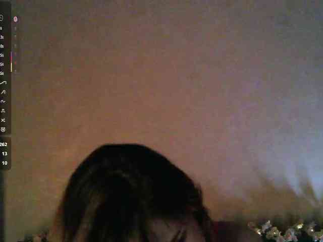 pollymorph webcam