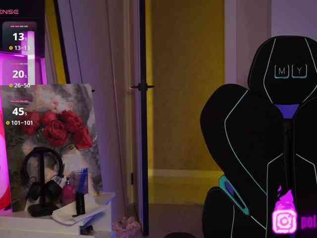 pollymorph webcam