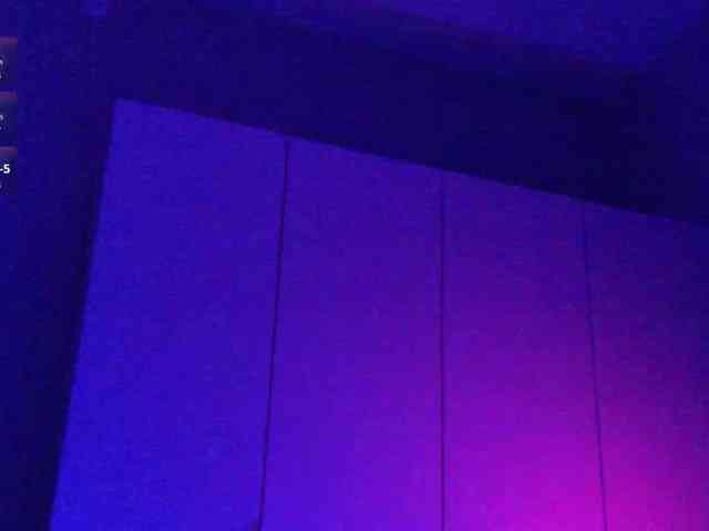 pollymorph webcam