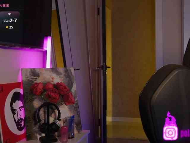 pollymorph webcam