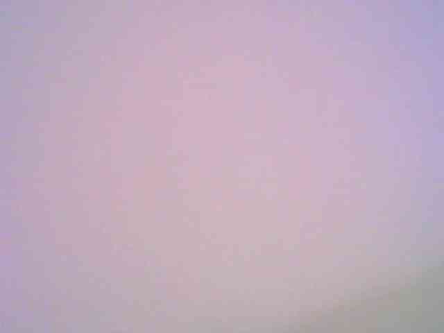 pollymorph webcam