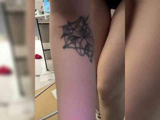 pollymorph webcam