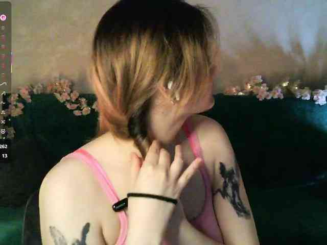 pollymorph webcam
