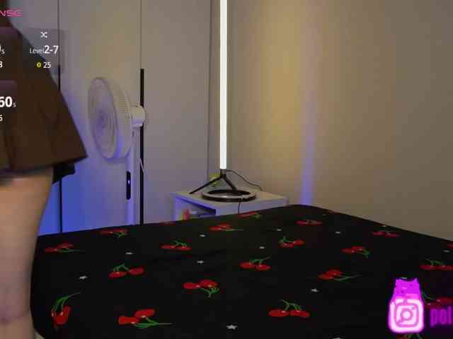 pollymorph webcam