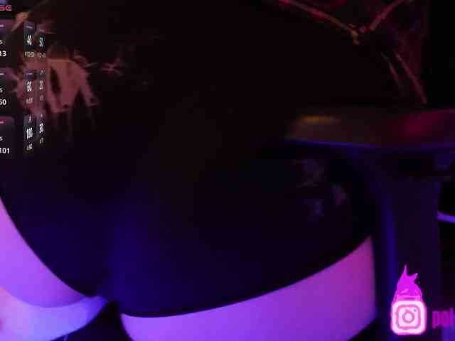 pollymorph webcam