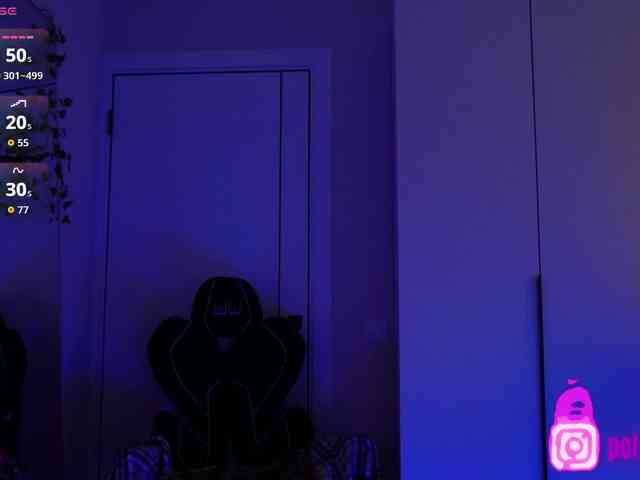 pollymorph webcam