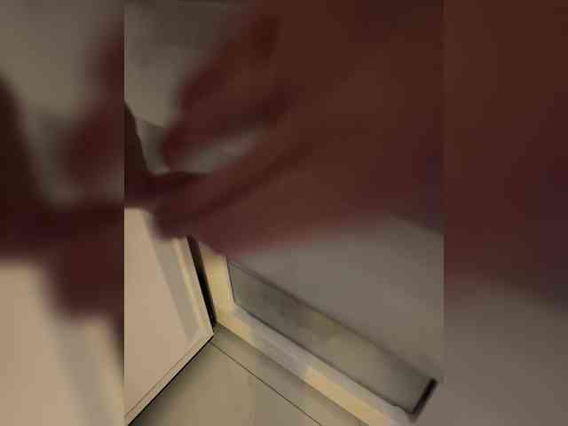 pollymorph webcam