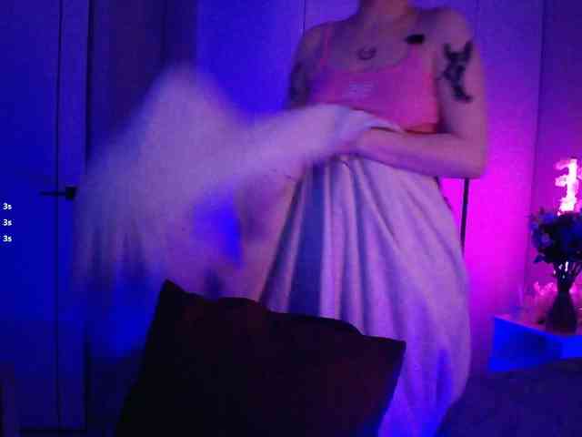 pollymorph webcam
