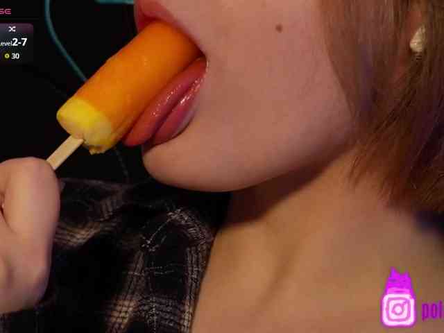 pollymorph webcam