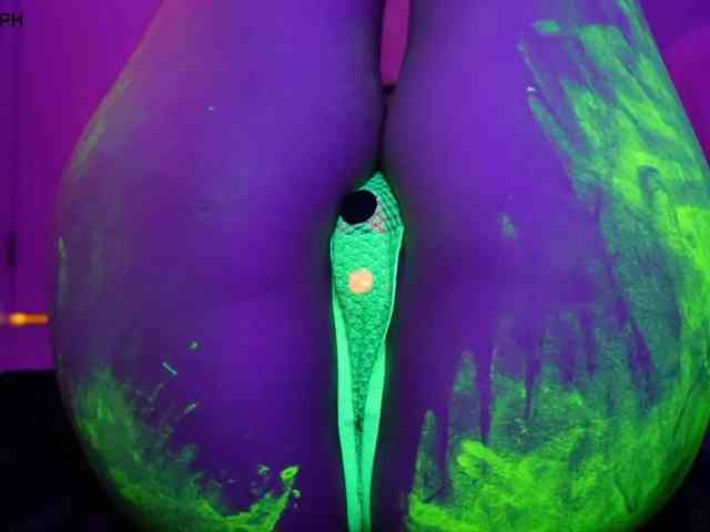 pollymorph webcam