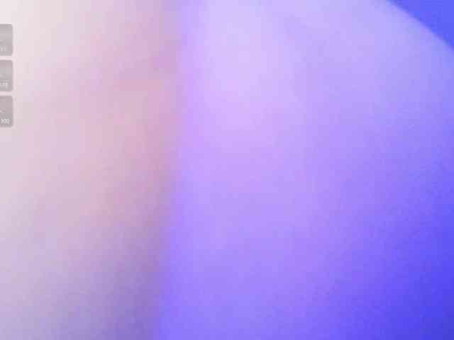 pollymorph webcam