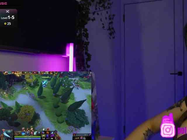 pollymorph webcam