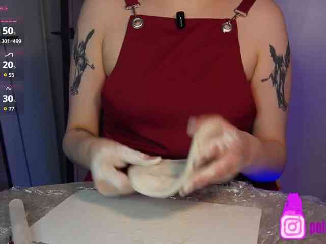 pollymorph webcam
