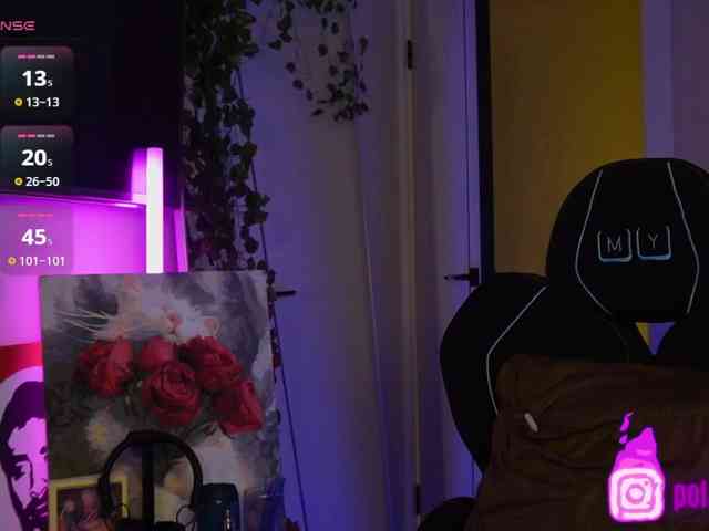 pollymorph webcam
