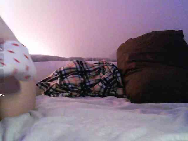 pollymorph webcam