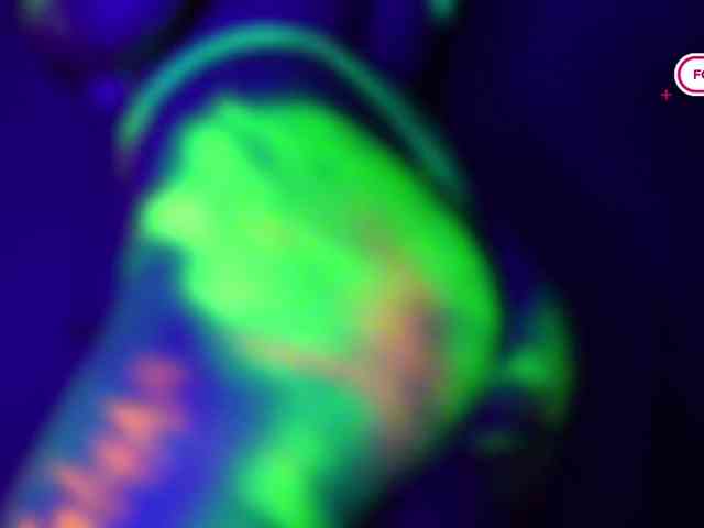 pollymorph webcam