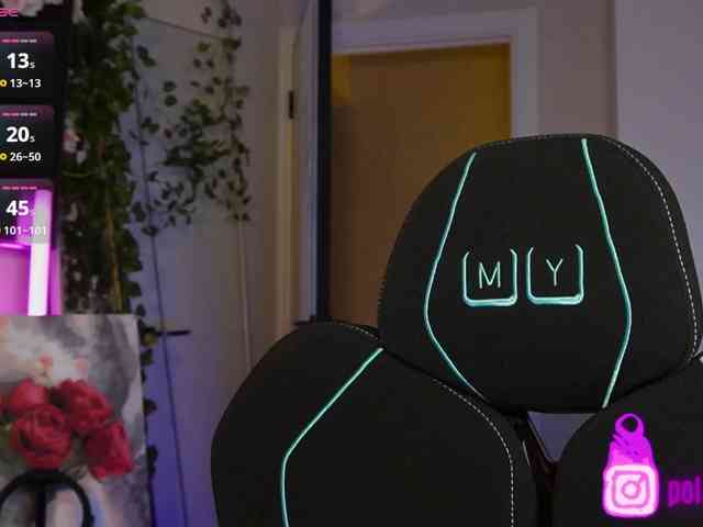 pollymorph webcam