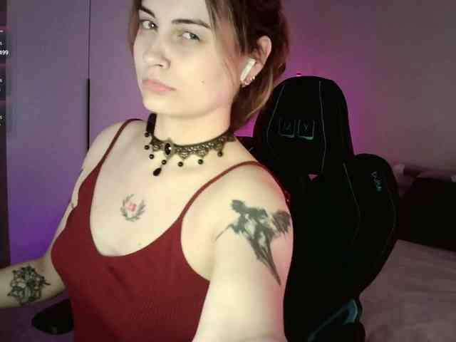 pollymorph webcam