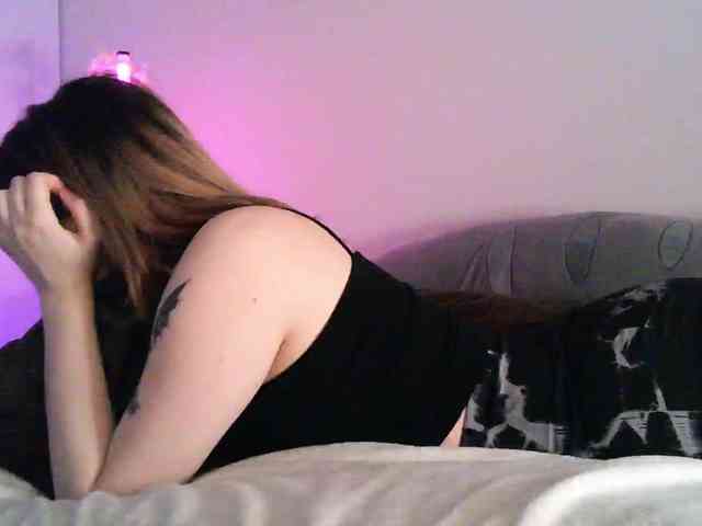 pollymorph webcam