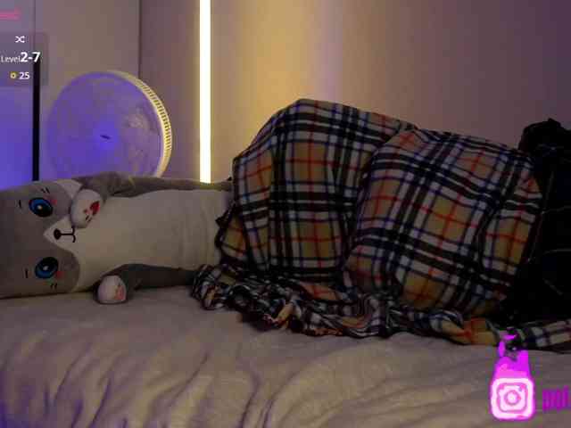 pollymorph webcam