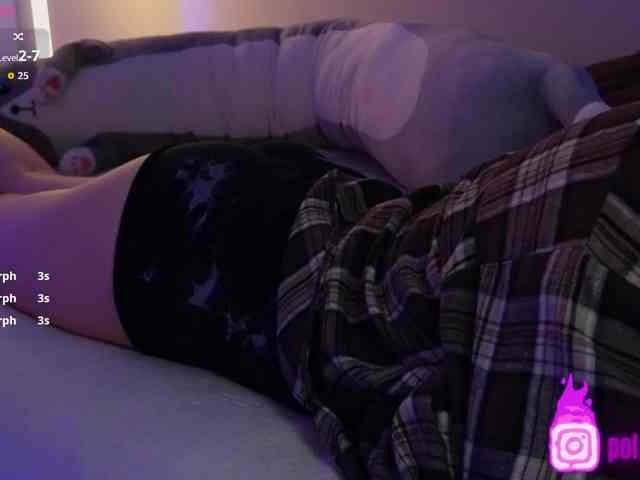 pollymorph webcam