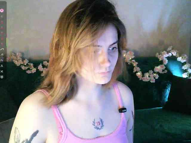 pollymorph webcam