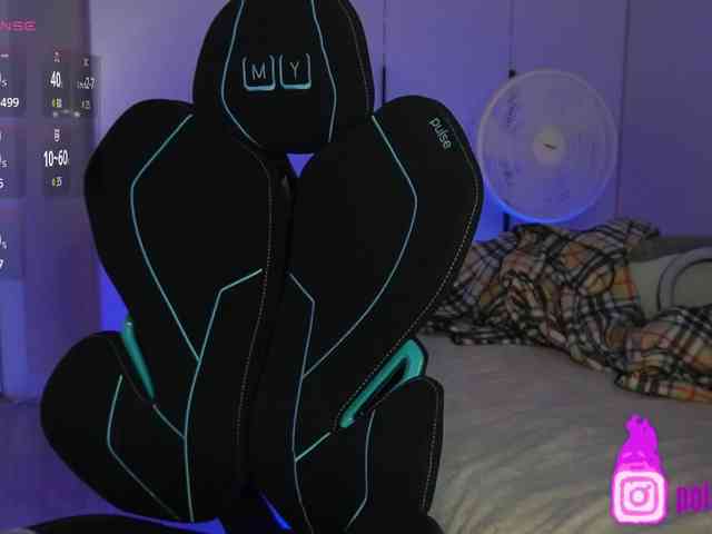 pollymorph webcam