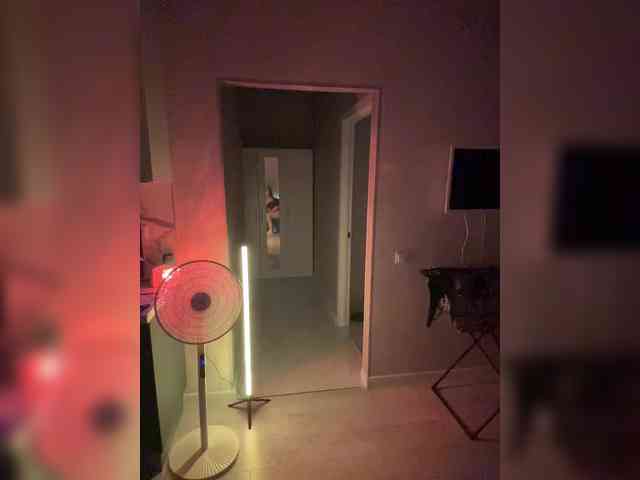 pollymorph webcam