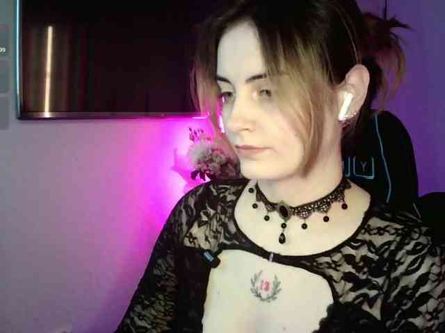 pollymorph webcam