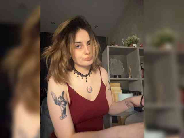 pollymorph webcam