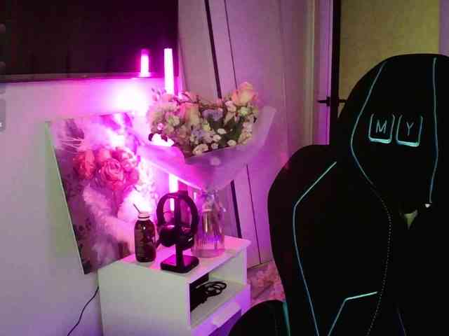 pollymorph webcam