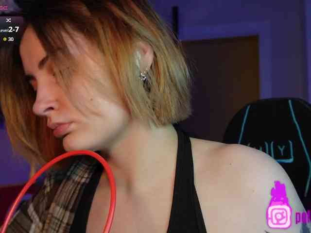 pollymorph webcam