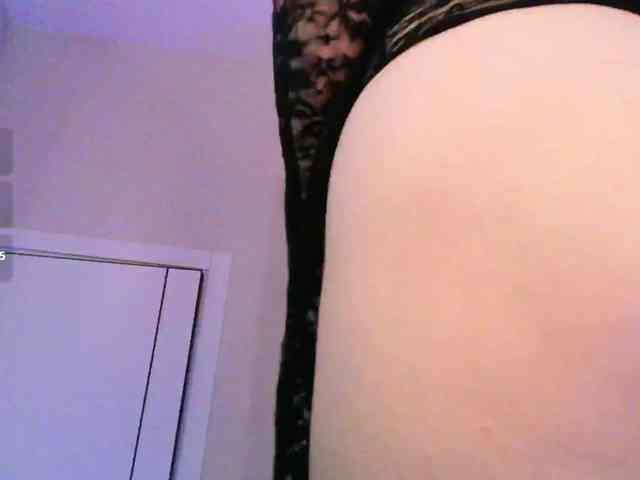 pollymorph webcam
