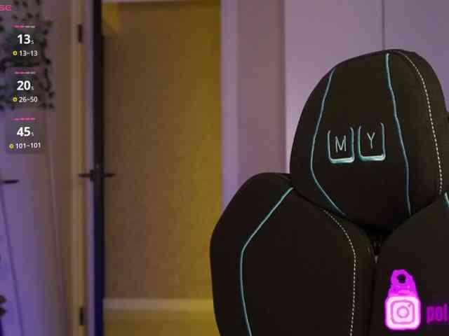 pollymorph webcam