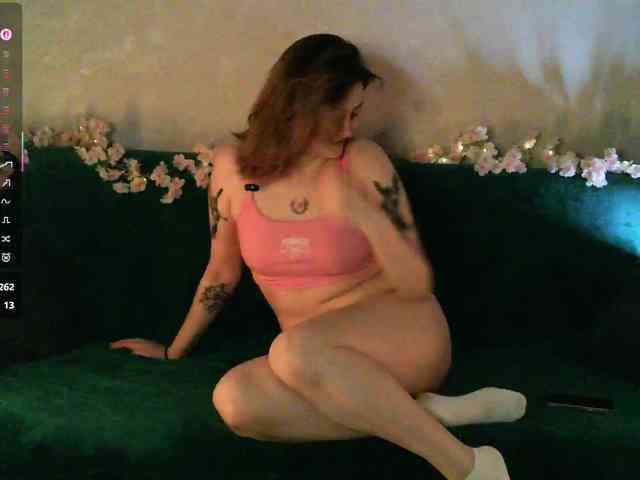pollymorph webcam