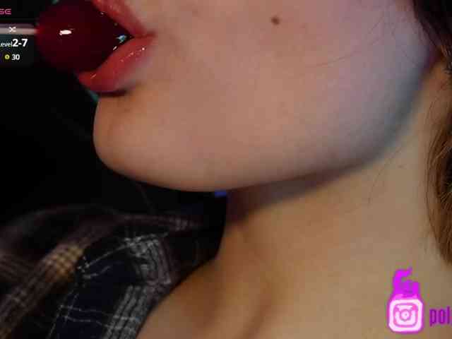 pollymorph webcam