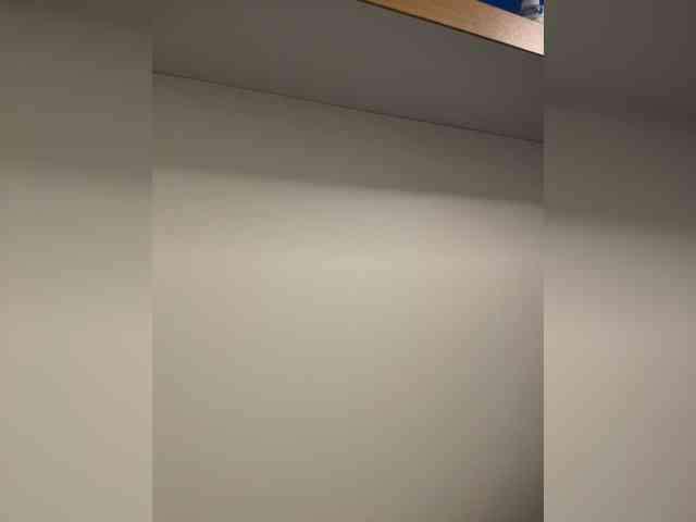 lxc999 webcam