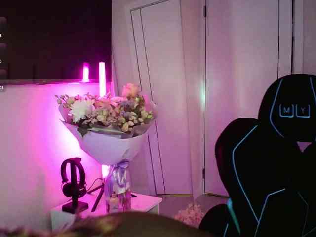 pollymorph webcam