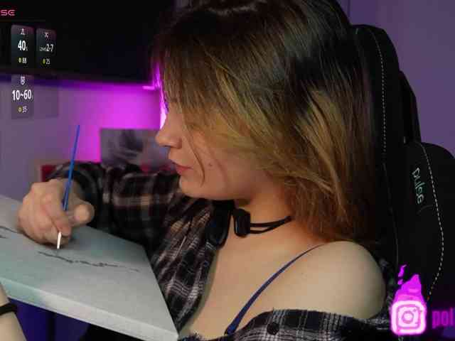 pollymorph webcam