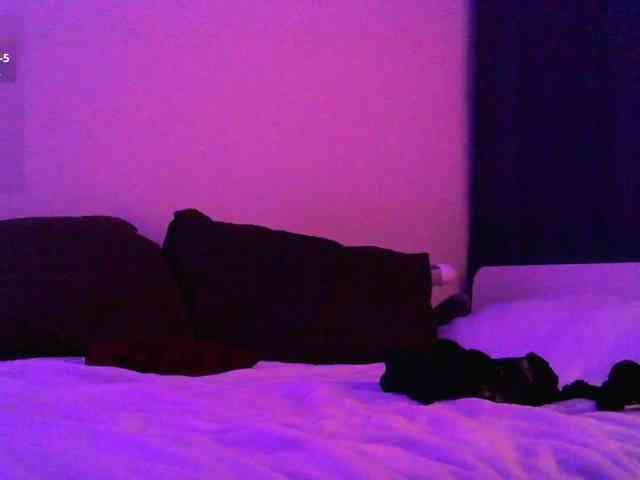 pollymorph webcam