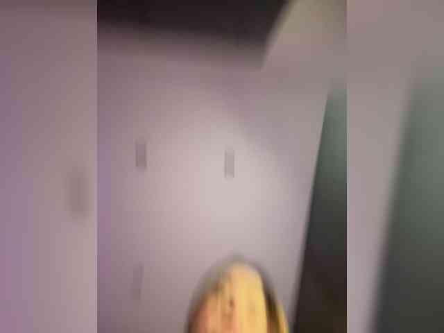 pollymorph webcam