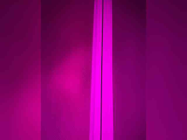 lxc999 webcam