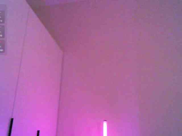 pollymorph webcam