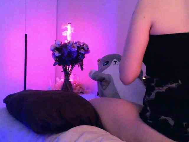 pollymorph webcam